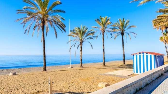 Amplio Estudio En Centro Y Playa Victoria 13 Lejlighed Málaga Eksteriør billede